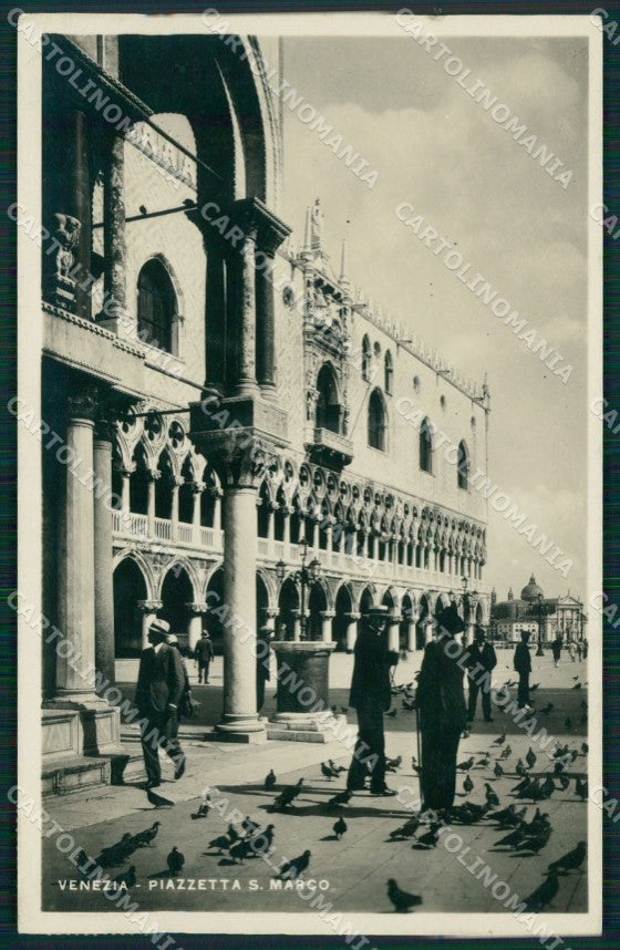 Venezia città Piazzetta San Marco Piccioni Foto cartolina MT1683 – fronte