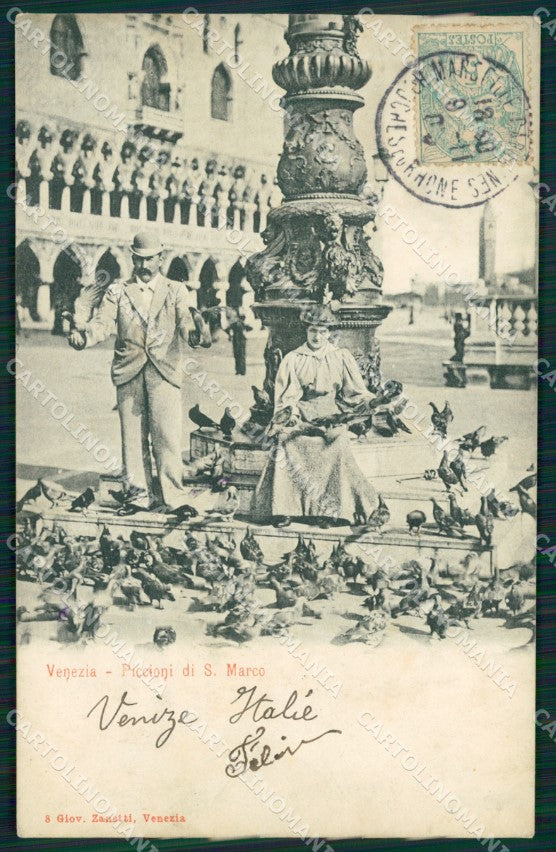 Venezia città Piazza San Marco Piccioni cartolina MT1767 – fronte