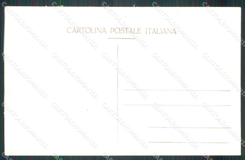 Belluno Cortina d'Ampezzo Pecore Foto cartolina MT1783 – retro
