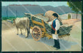 Cagliari città Costumi Trasporto Sughero cartolina MT1891 – fronte