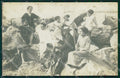 Savona Finale Ligure Loano Foto cartolina MT1915 – fronte