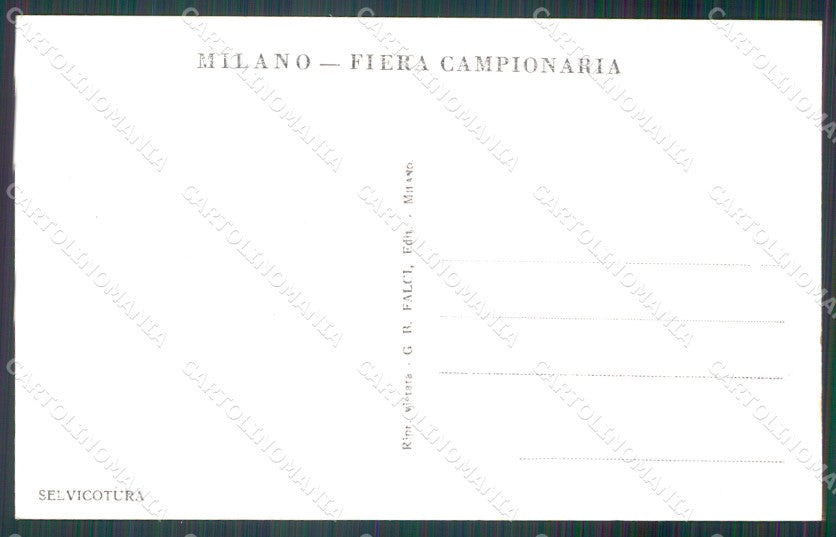 Milano città Fiera di Selvicoltura Foto cartolina MT2137 – retro