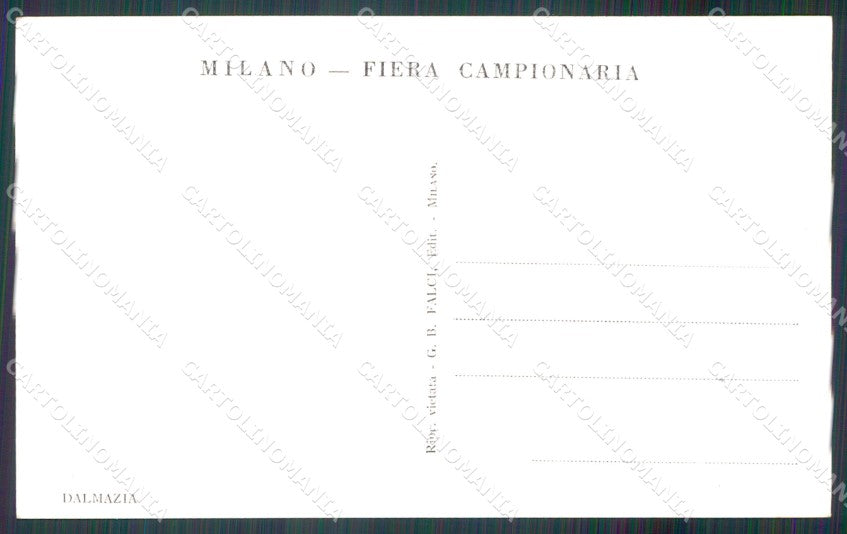 Milano città Fiera di Padiglione Dalmazia Foto cartolina MT2146 – retro