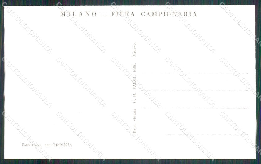 Milano città Fiera di Padiglione dell'Irpinia Foto cartolina MT2148 – retro