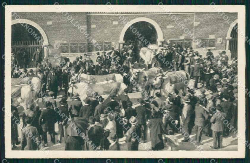 Milano città Esposizione Internazionale 1928 Zootecnia cartolina MT2154 – fronte