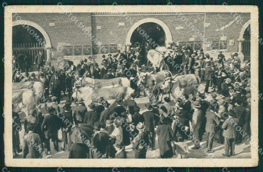 Milano città Fiera di 1928 Mostra Zootecnica PIEGA cartolina MT2174 – fronte