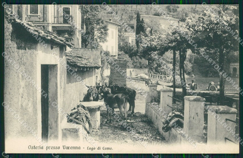 Lecco Varenna Lago di Como Asini cartolina MT2238 – fronte