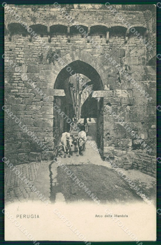 Perugia città Arco della Mandorla Buoi cartolina MT2326 – fronte
