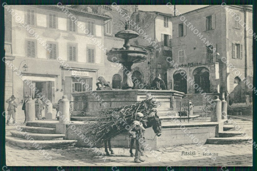 Perugia Assisi Fontana Maggiore Mulo PIEGHINA cartolina MT2335 – fronte