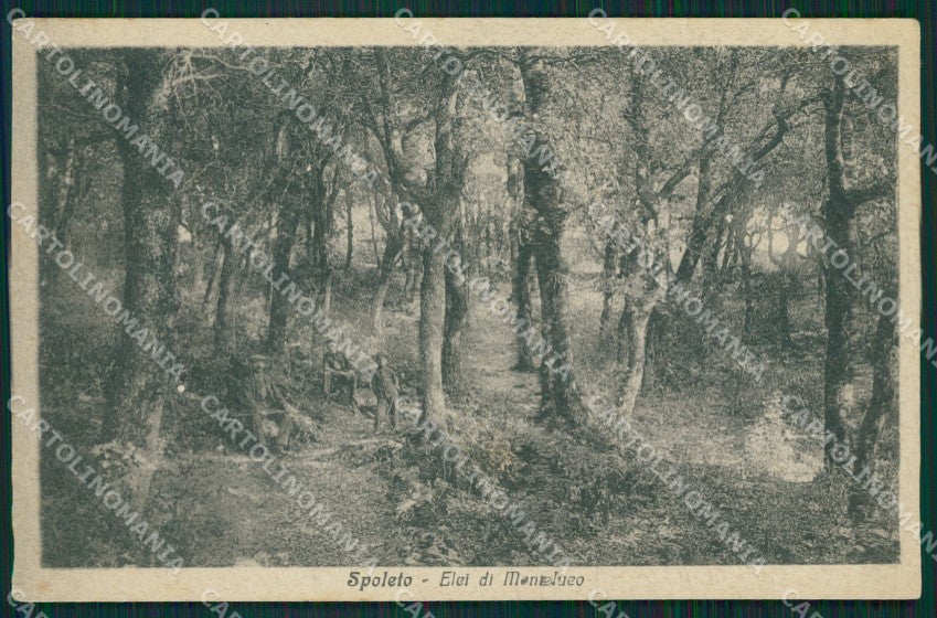 Perugia Spoleto Monteluco Elci di cartolina MT2372 – fronte