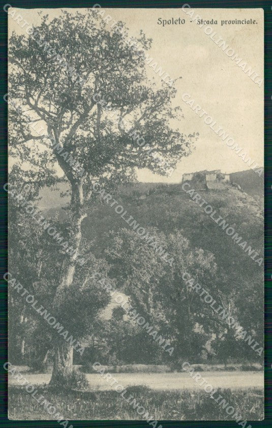 Perugia Spoleto cartolina MT2374 – fronte