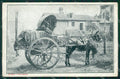 Roma città Costumi Carrettiere cartolina MT2478 – fronte