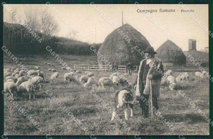 Roma città Pecoraro Pecore cartolina MT2484 – fronte