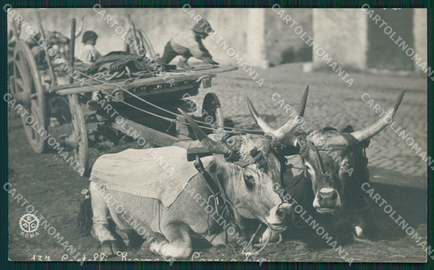 Roma Castelli Romani Carro con Buoi Foto cartolina MT2485 – fronte