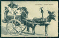 Palermo città Carretto Siciliano cartolina MT2677 – fronte
