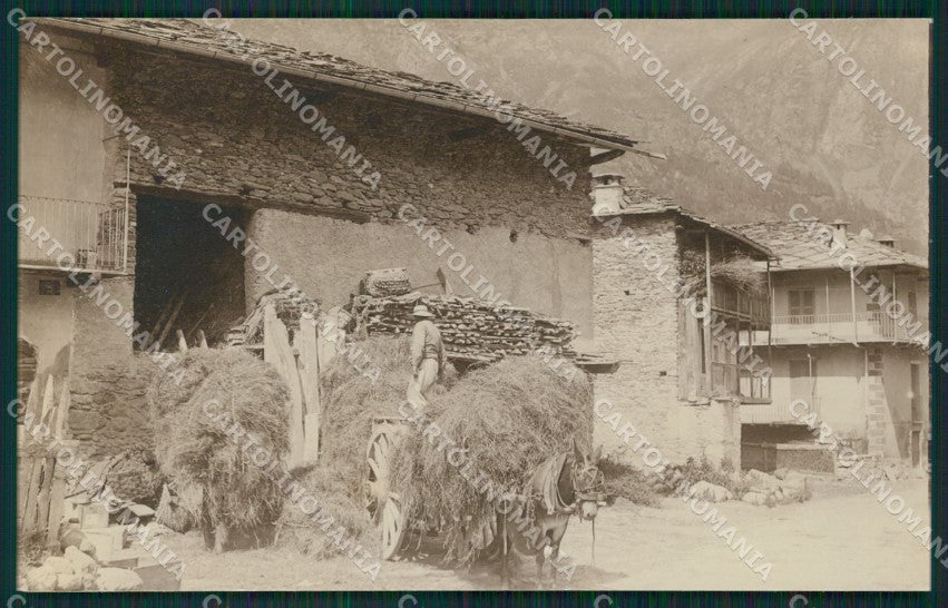 Aosta Gressoney ? Mulo Foto cartolina MT2733 – fronte
