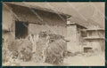 Aosta Gressoney ? Mulo Foto cartolina MT2733 – fronte