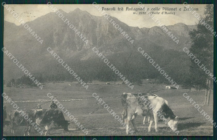 Aosta Antagnod Pillonet e Zerbion Mucche cartolina MT2744 – fronte