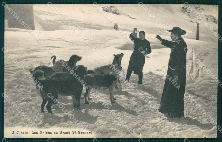 Aosta Cani del Gran San Bernardo Nevicata TRACCE UMIDO cartolina MT2908 – fronte