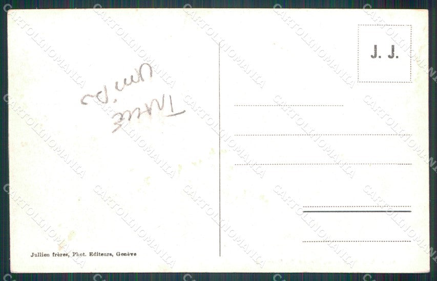 Aosta Cani del Gran San Bernardo Nevicata TRACCE UMIDO cartolina MT2908 – retro