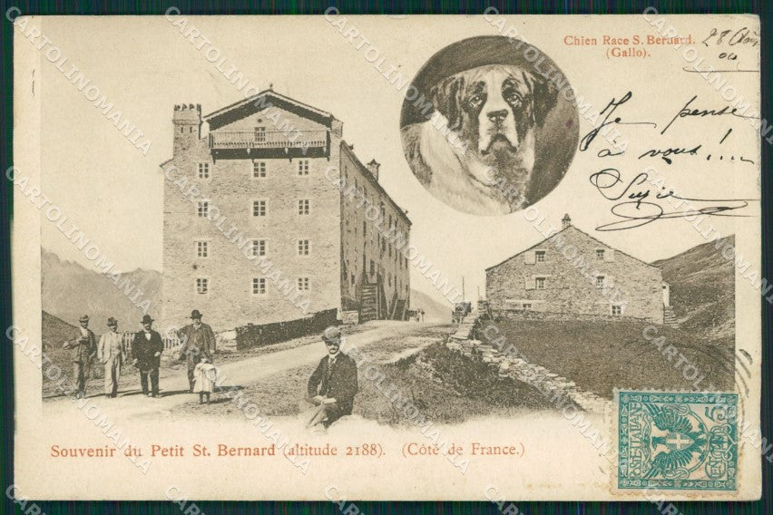 Aosta La Thuile Piccolo San Bernardo Cane Genta cartolina MT2994 – fronte