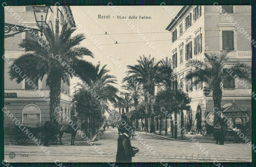 Genova Nervi Viale delle Palme Carrozza PIEGA cartolina MT3113 – fronte