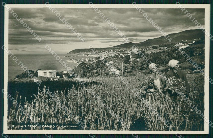 Imperia Sanremo Campo di Garofani Foto cartolina MT3511 – fronte