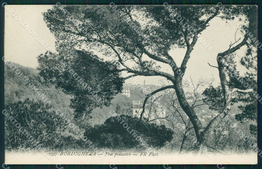 Imperia Bordighera FORO cartolina MT3517 – fronte