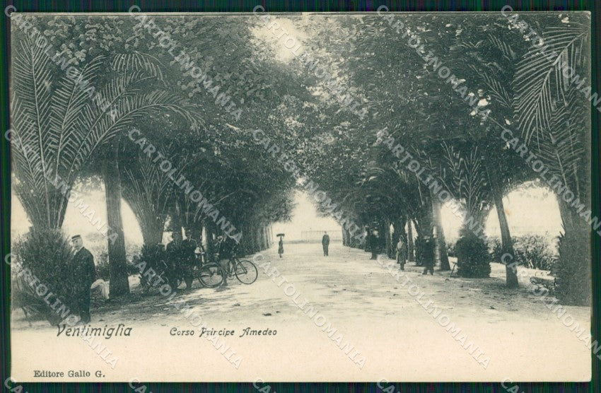 Imperia Ventimiglia Corso Principe Amedeo cartolina MT3631 – fronte