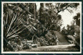 Imperia Ventimiglia La Mortola Foto cartolina MT3788 – fronte