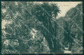 Imperia Ventimiglia La Mortola cartolina MT3789 – fronte