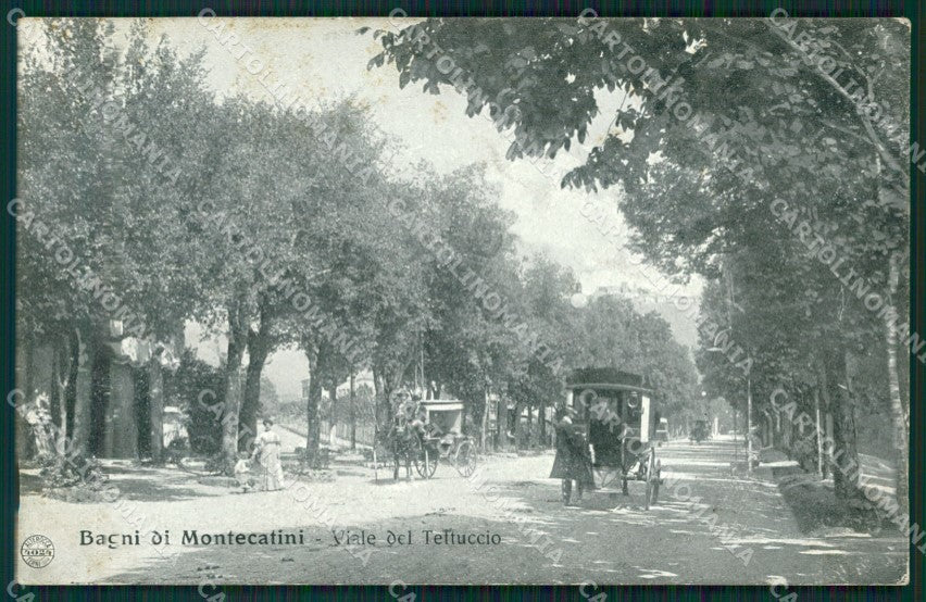 Pistoia Montecatini Terme Viale del Tettuccio Alterocca 4024 cartolina MT3976 – fronte