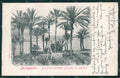 Imperia Bordighera Giardino Winter Alterocca 2616 cartolina MT4053 – fronte