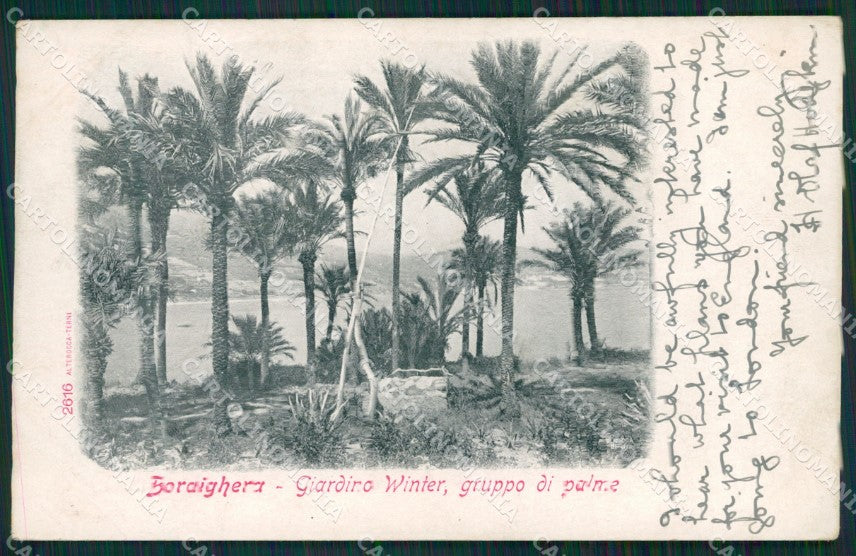 Imperia Bordighera Giardino Winter Alterocca 2616 cartolina MT4053 – fronte