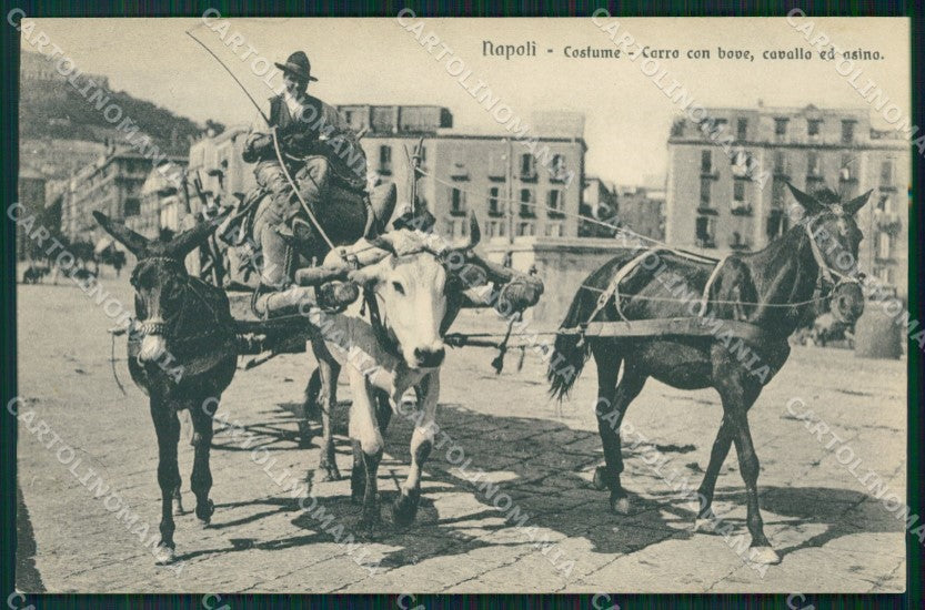 Napoli città Costumi Bove Cavallo Asino cartolina MT4120 – fronte