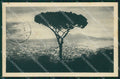 Napoli città cartolina MT4164 – fronte