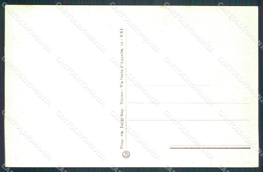 Torino Susa Ingresso al paese cartolina MT4271 – retro
