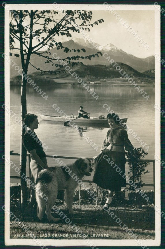 Torino Avigliana Lago Grande San Bernardo cane Foto cartolina MT4341 – fronte
