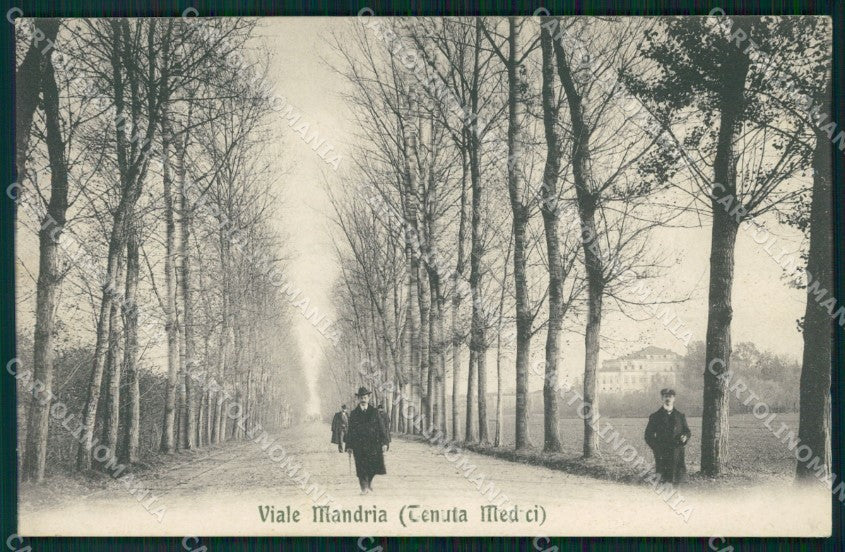 Torino Venaria Reale Viale Mandria Tenuta Medici cartolina MT4564 – fronte