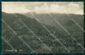 Torino Coassolo TorineseFoto cartolina MT4603 – fronte