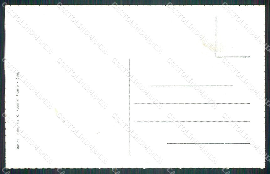 Torino Lemie Panorama cartolina MT4627 – retro