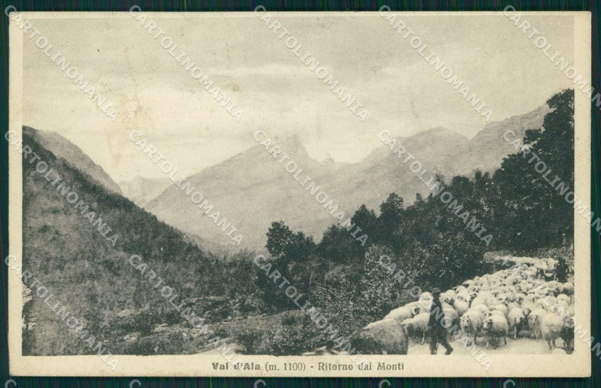 Torino Val d'Ala Gregge pecore cartolina MT4716 – fronte