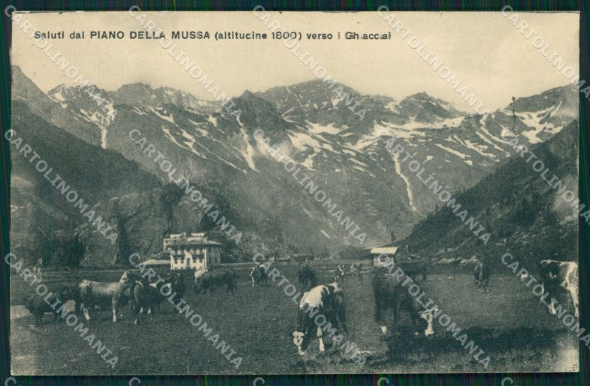 Torino Balme Piano della Mussa cartolina MT4722 – fronte