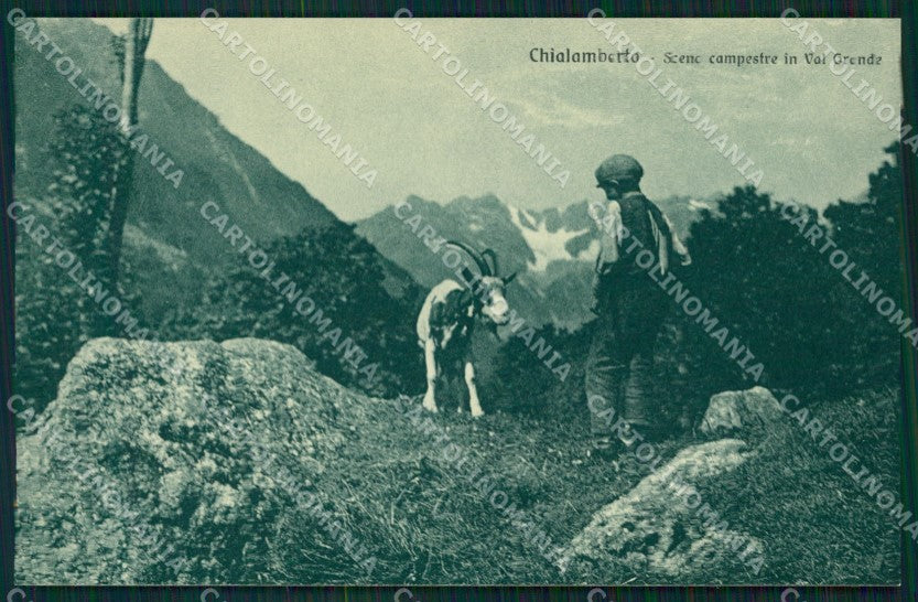 Torino Chialamberto Capra Scena Campestre Val Grande cartolina MT4739 – fronte