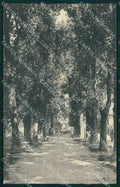 Torino Caluso Viale di Corso Torino cartolina MT4859 – fronte