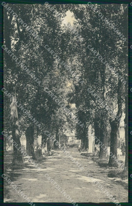 Torino Caluso Viale di Corso Torino cartolina MT4859 – fronte