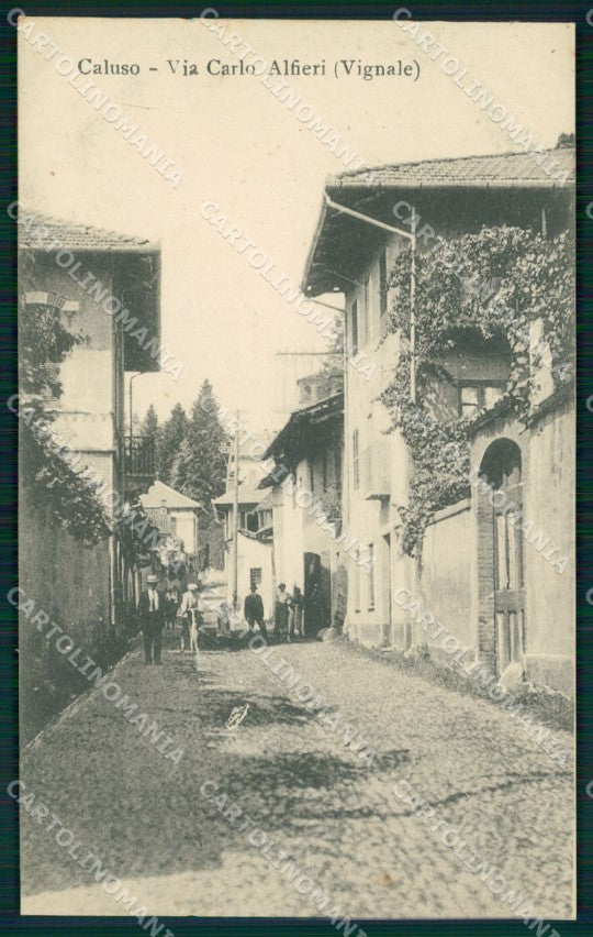 Torino Caluso Via Carlo Alfieri Vignale cartolina MT4870 – fronte
