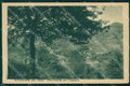 Torino Baldissero Rivodora Torinese cartolina MT4901 – fronte