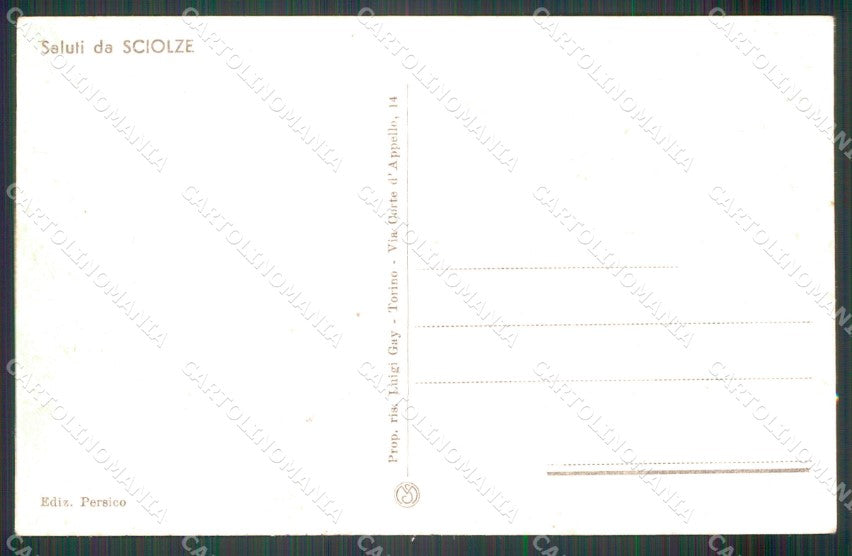 Torino Sciolze Panorama cartolina MT4923 – retro