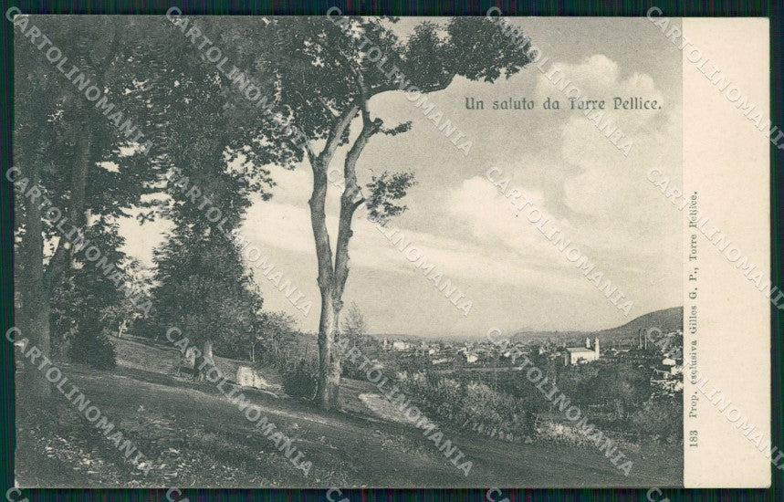 Torino Torre Pellice Panorama cartolina MT5096 – fronte